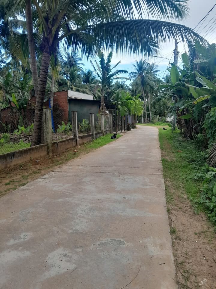 Đất nền Tam Quan Nam 204m² giá 600 triệu - Nở hậu đẹp, đầu tư tốt!