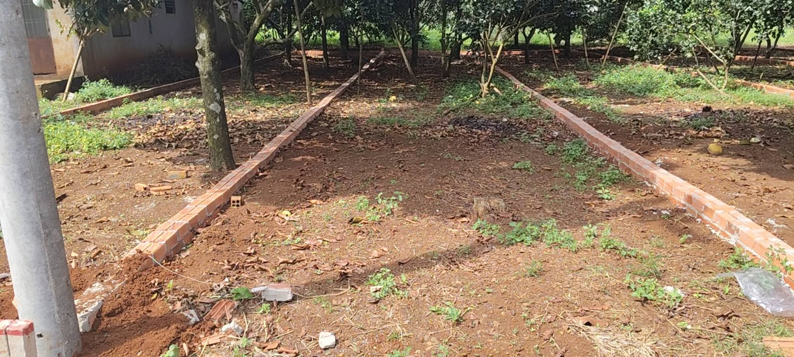 Đất nền Trảng Bom 300m² giá 2.4 tỷ - Vị trí đắc địa gần chợ!