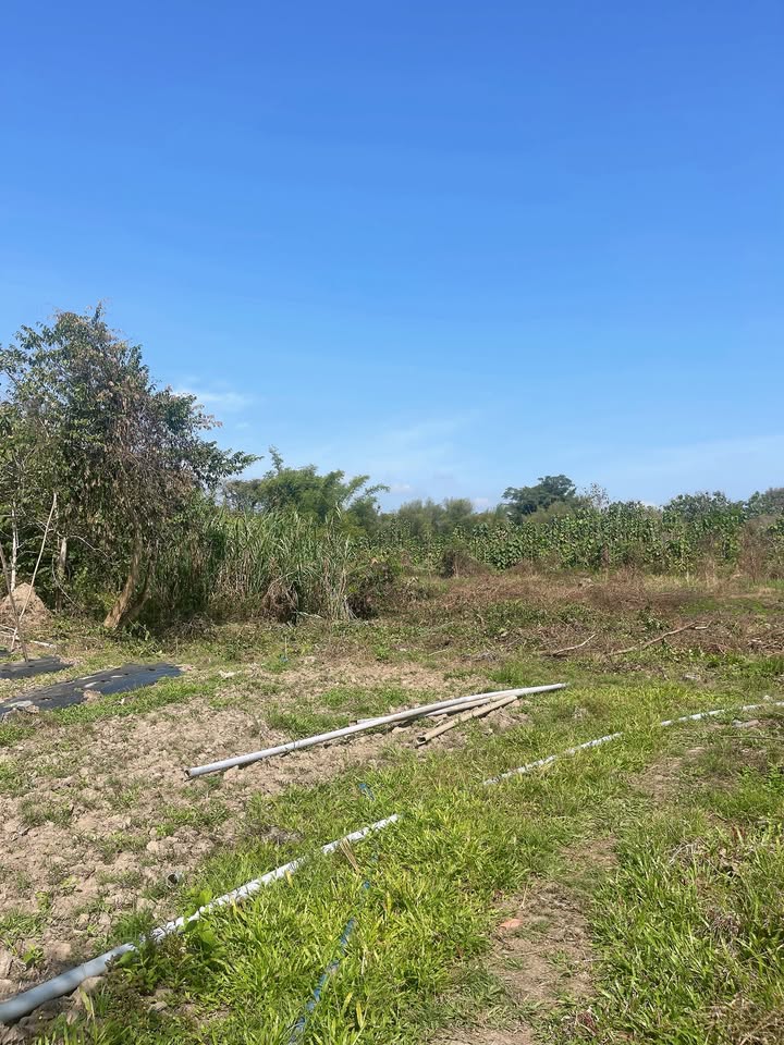 Đất sào tại xã Phú Vinh, Định Quán 9860m² chỉ 250 triệu - Cơ hội đầu tư hấp dẫn!