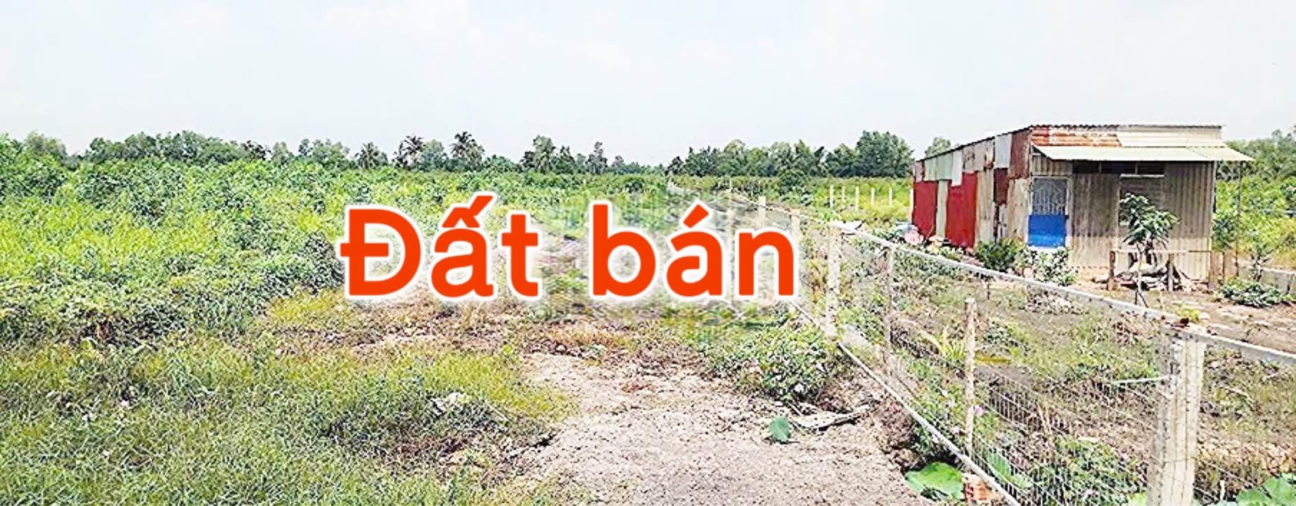 Đất vườn 1000m² tại Thạnh Hòa, Bến Lức, Long An - Giá chỉ 565 triệu, đầu tư tuyệt vời!