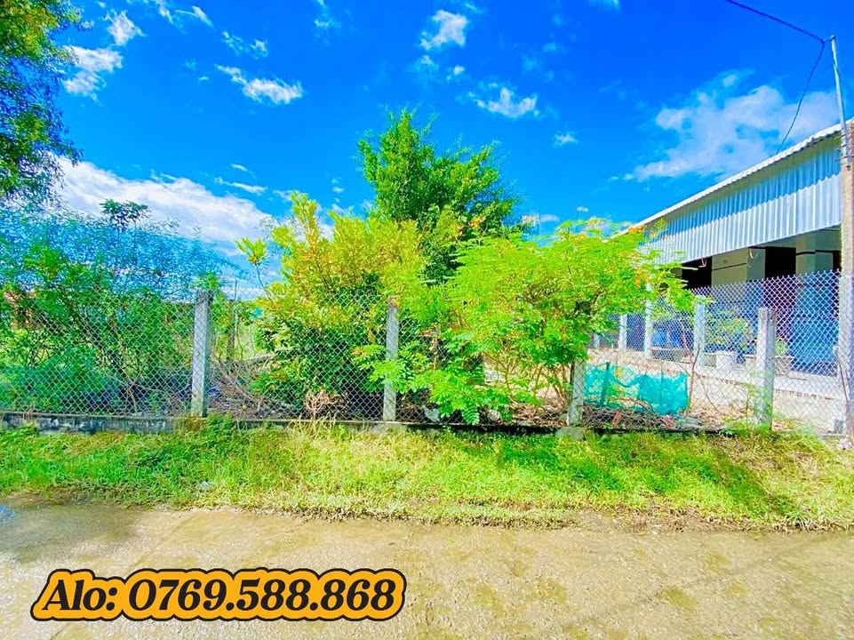 Đất thổ cư Tân Dân, Sóc Sơn 272m² giá 1.3 tỷ - Đầu tư sinh lời ngay!