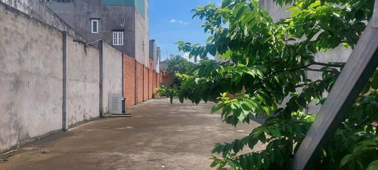 Đất mặt tiền đường Trung Mỹ, Tân Xuân, Hóc Môn 500m² giá 17 tỷ - Kinh doanh sầm uất!