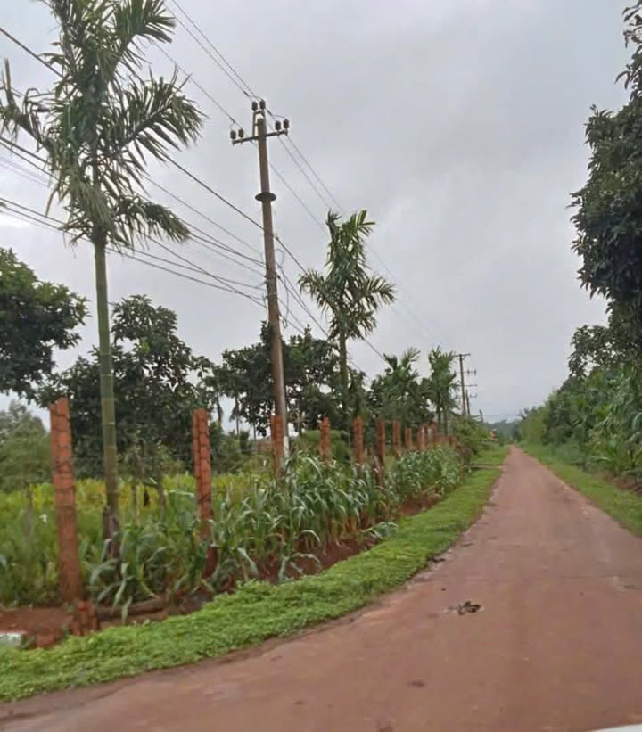 Đất thổ cư Phú Xuân - Huyện Krông Năng 180m² giá chỉ 3xx triệu - Cơ hội đầu tư hấp dẫn!