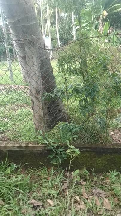 Đất nền 100m² tại Trường An 1, Hoài Thanh chỉ 390 triệu - Cơ hội đầu tư hấp dẫn!