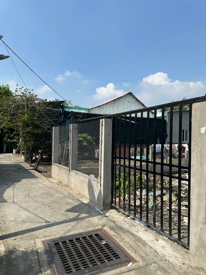 Đất thổ cư 146m² tại ấp Bình Mỹ, xã Bình Khánh - Giá 2.7 tỷ - Cơ hội đầu tư hấp dẫn!