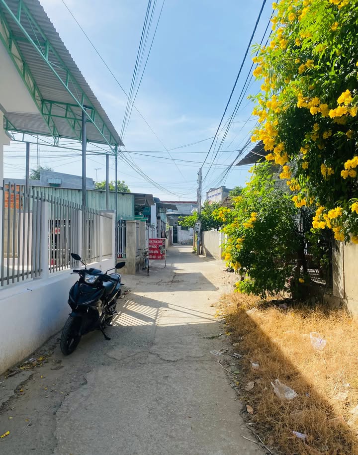 Nhà 2 mặt tiền An Thạnh 1, Cù Lao Dung 84m² giá 950 triệu - Sẵn sàng vào ở ngay!