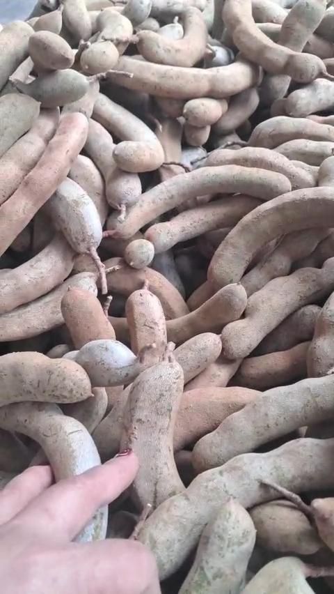 Đất nền Bảo Lâm 132m² giá 1.1 tỷ - Chính chủ cần bán gấp!