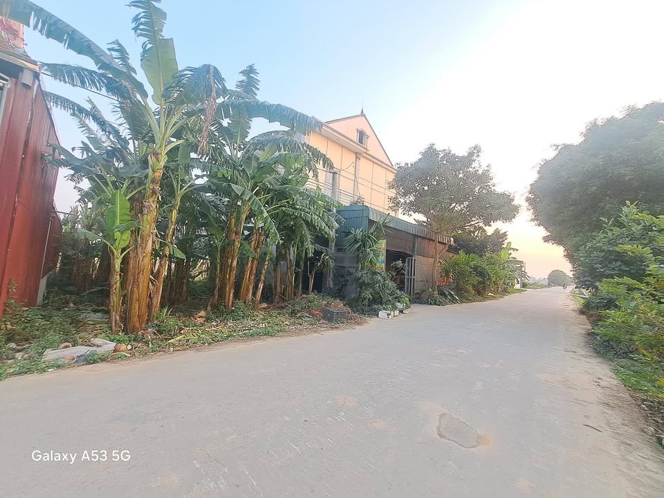 Đất nền Trinh Nữ, Huyện Bình Giang 80m² giá 1 tỷ - Mặt tiền rộng rãi, giao thông thuận lợi!