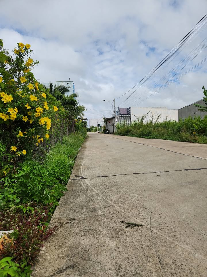 Lô đất nền 95m² đường Mạc Thiên Tích, Rạch Giá - Đầu tư sinh lời hấp dẫn!