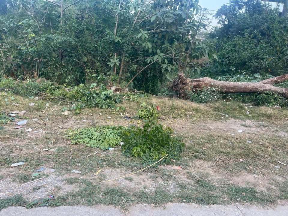 Đất nền Định Bình, Yên Định 250m² giá 4.6 tỷ - Vị trí đắc địa, dân cư sầm uất!