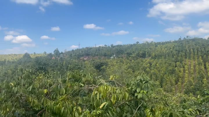 Đất nền 4000m² xã Thuận Hạnh giá 760 triệu - Sổ đỏ chính chủ