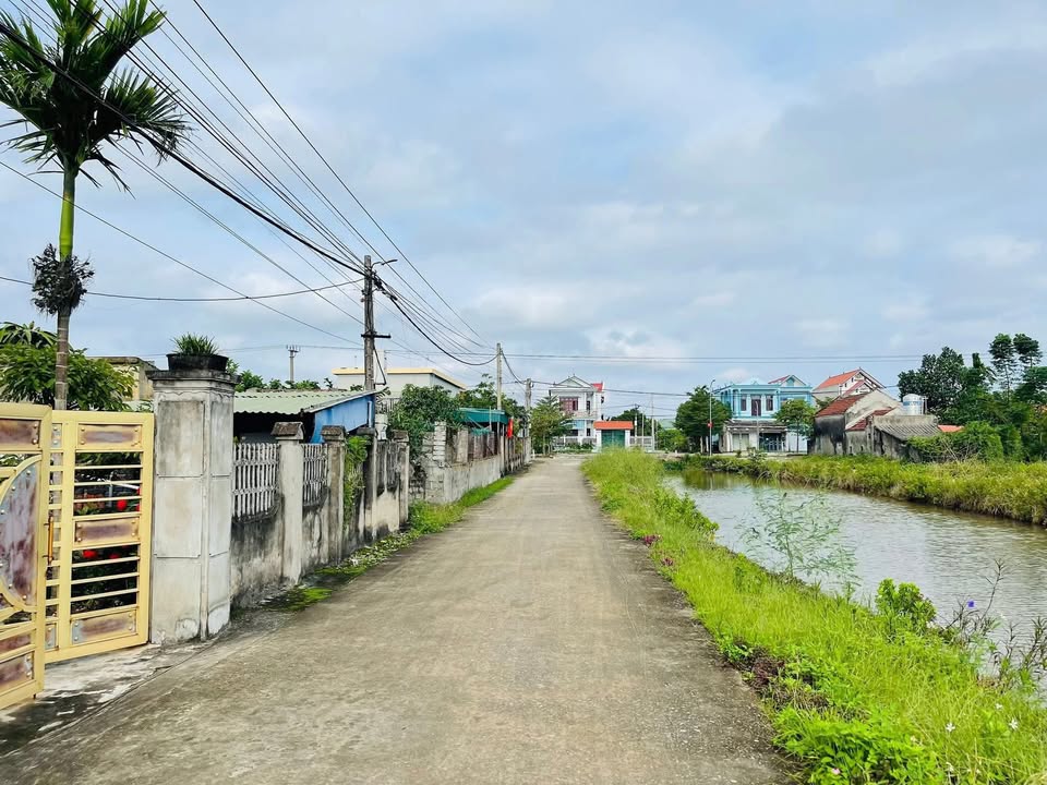 Đất nền Xóm 4 Kim Trung 17253m² - Mặt kênh, 2 mặt đường, giá thỏa thuận!