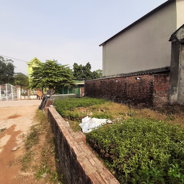 Đất thổ cư Hồng Kỳ, Sóc Sơn 90m² - Ô tô tránh nhau, giá thỏa thuận!