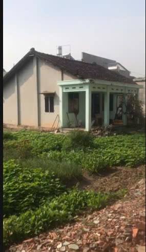 Nhà vườn Tân Thạnh Đông, Củ Chi 730m² giá 2.85 tỷ - Pháp lý rõ ràng