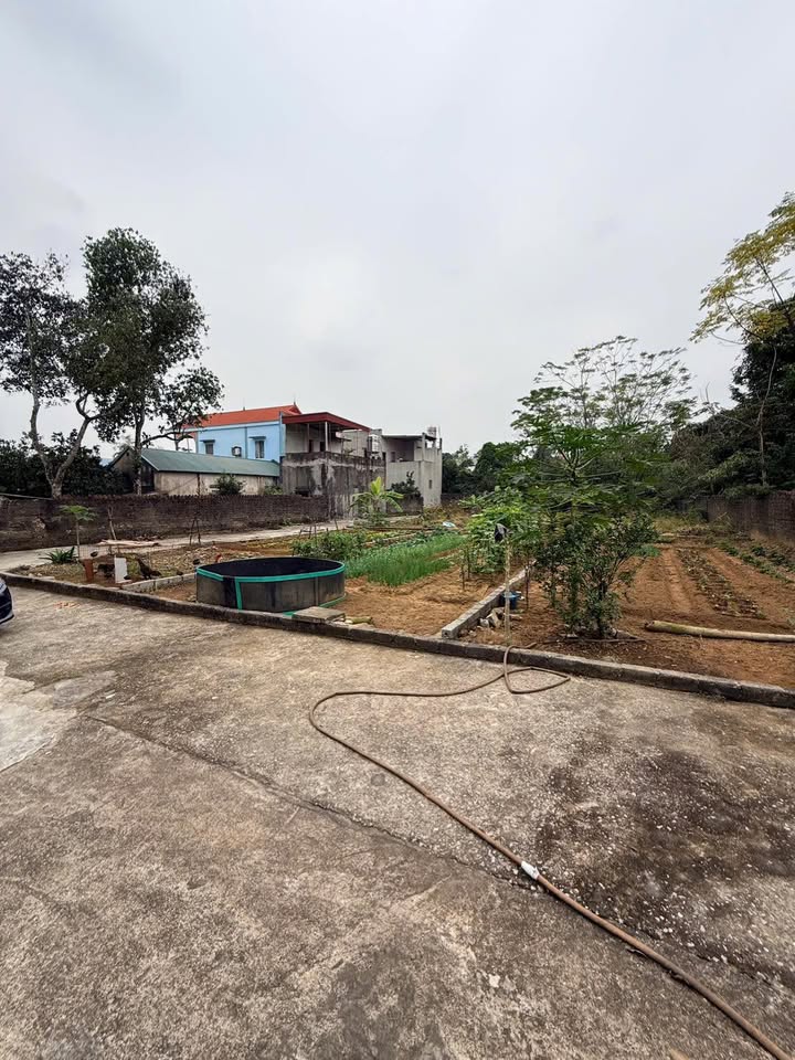 Đất nền tại TDP Dinh Hương, Thị trấn Thắng, Hiệp Hòa 100m² - Pháp lý rõ ràng, giao dịch nhanh chóng!