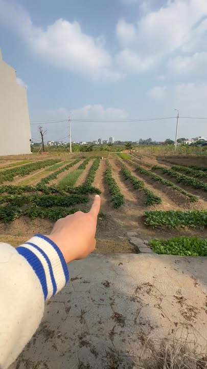 Đất nền My Cầu – Hàng Dừa 100m² giá 3.1 tỷ - Cơ hội đầu tư tuyệt vời!