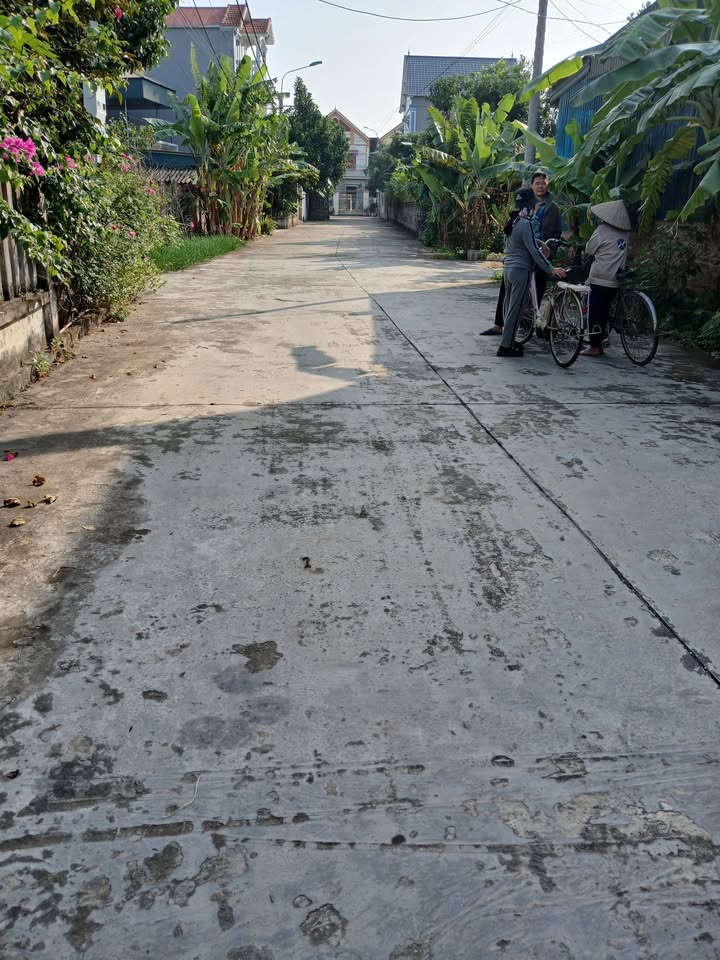 Đất thổ cư 201m² tại Trục Chính Trác Châu, Hải Dương - Giá chỉ 1 tỷ!