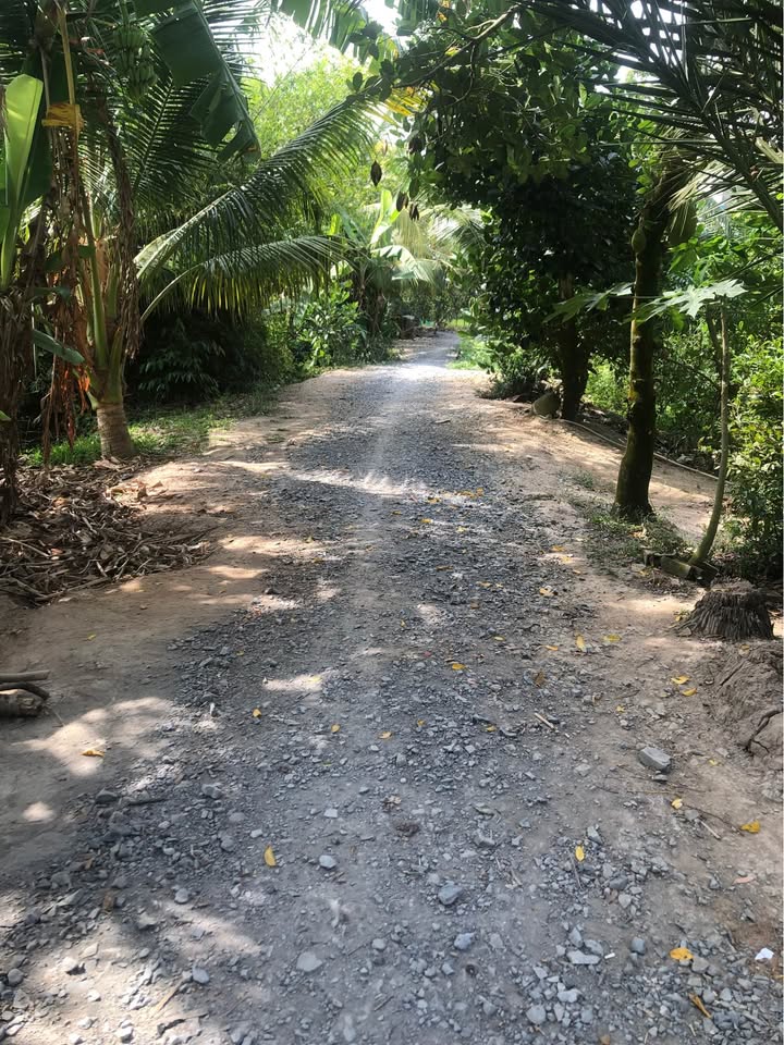 7 Nền Đất Liền Kề Xã Ba Sao, Đồng Tháp 150m² Giá 420 triệu - Cơ Hội Đầu Tư Tuyệt Vời!