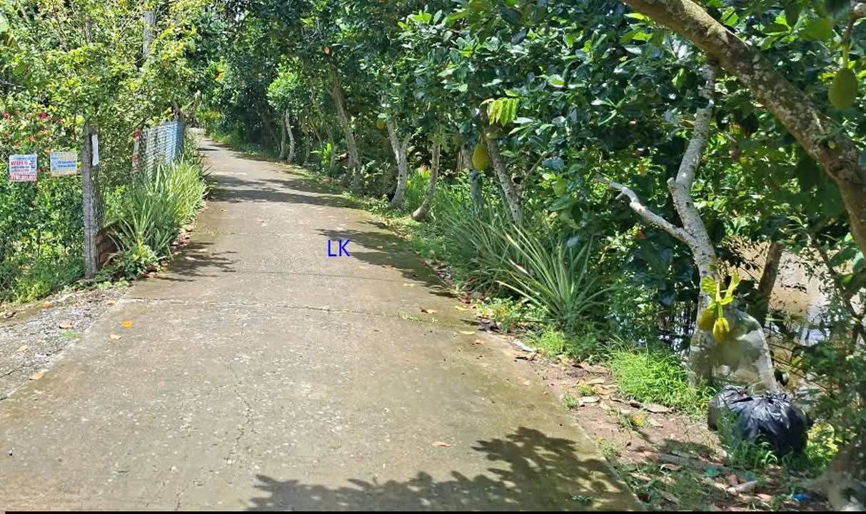 Đất nền 171m² xã Bình Hàng Trung, Đồng Tháp giá 300 triệu - Khu dân cư đông đúc!