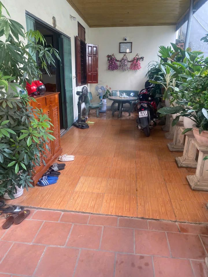 Đất nền Phường Nông Trang 203m² giá 5 tỷ - Không khí trong lành, cây xanh bao quanh!