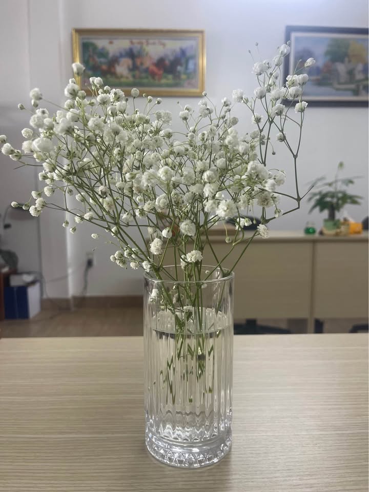 Nhà nguyên căn đường Lý Nam Đế, Đà Lạt 4PN giá 11 triệu - Sẵn sàng cho thuê ngay!