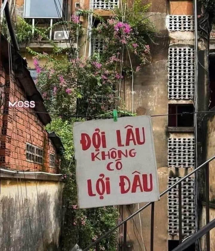 Đất đấu giá Tiến Thắng, Lý Nhân, 126m² - Đầu tư sinh lời tuyệt vời!