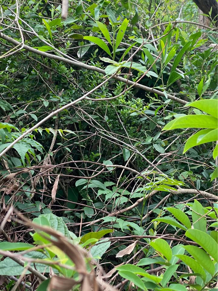 Chung cư HAGL 3PN Phường Hải Cảng 7 triệu - Full nội thất, tiện nghi