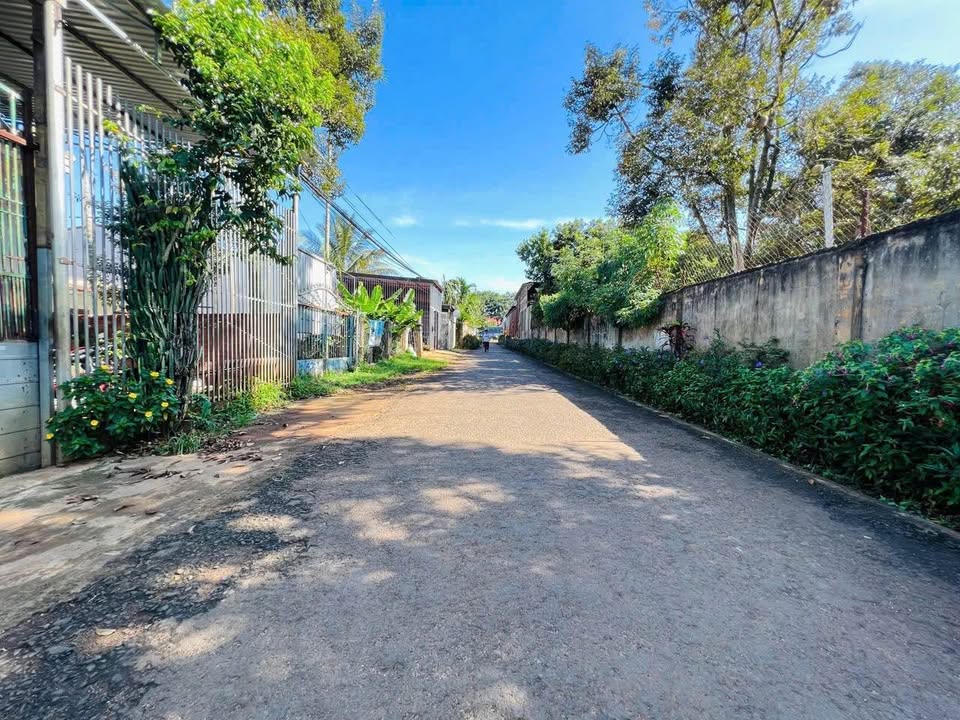 Đất thổ cư 527m² Phường Tân An - Mặt tiền hẻm 19B - Đầu tư sinh lời!