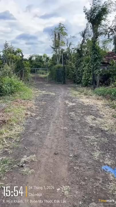 Đất sào Hòa Khánh, Buôn Ma Thuột 2700m² giá 1.350 tỷ - Cơ hội đầu tư hấp dẫn!