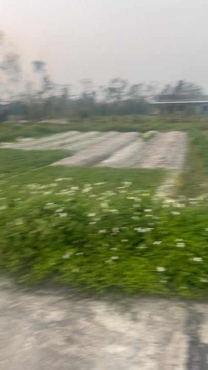 Đất thổ cư thôn Bắc Dinh, xã Thạch Tri 175m² giá 1.225 tỷ - Đường rộng ô tô tránh nhau!