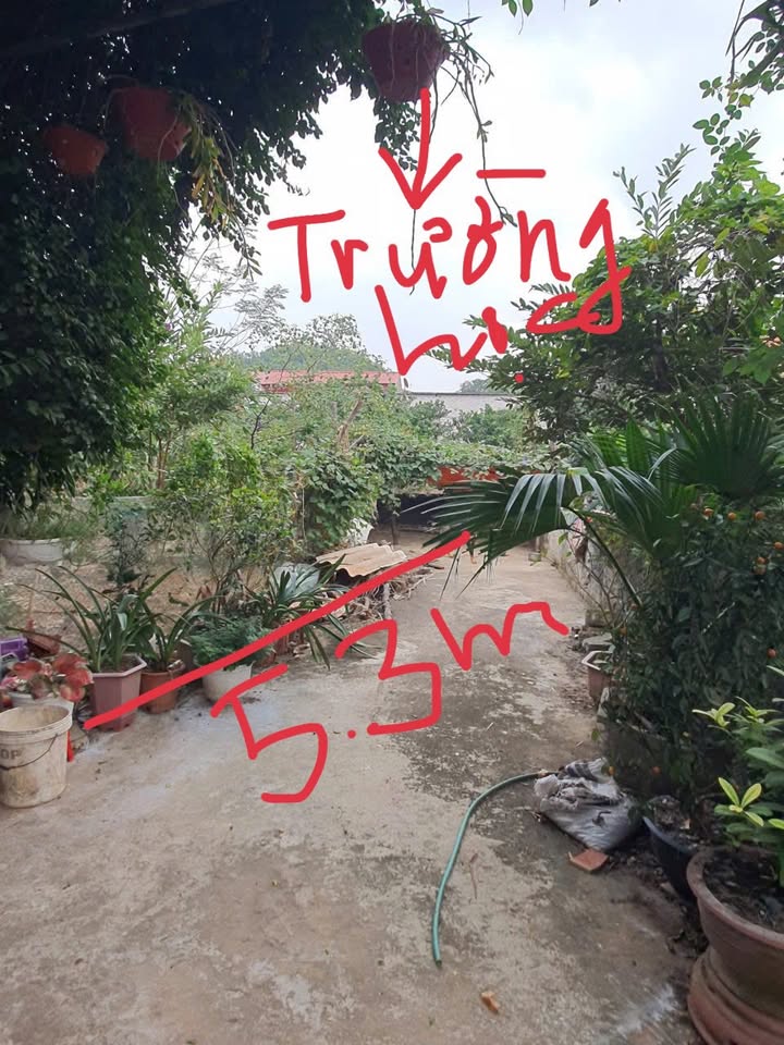 Đất thổ cư 92.3m² tại thị trấn Kép, Lạng Giang - Giá chỉ từ 400 triệu!