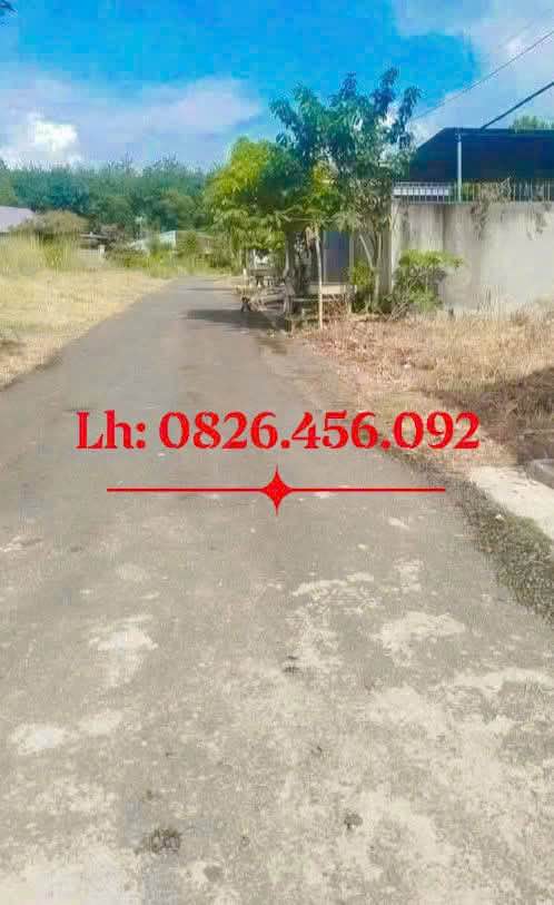 Đất nền Suối Cam, Tiến Thành 290m² giá 8xx triệu - Cơ hội đầu tư tuyệt vời!