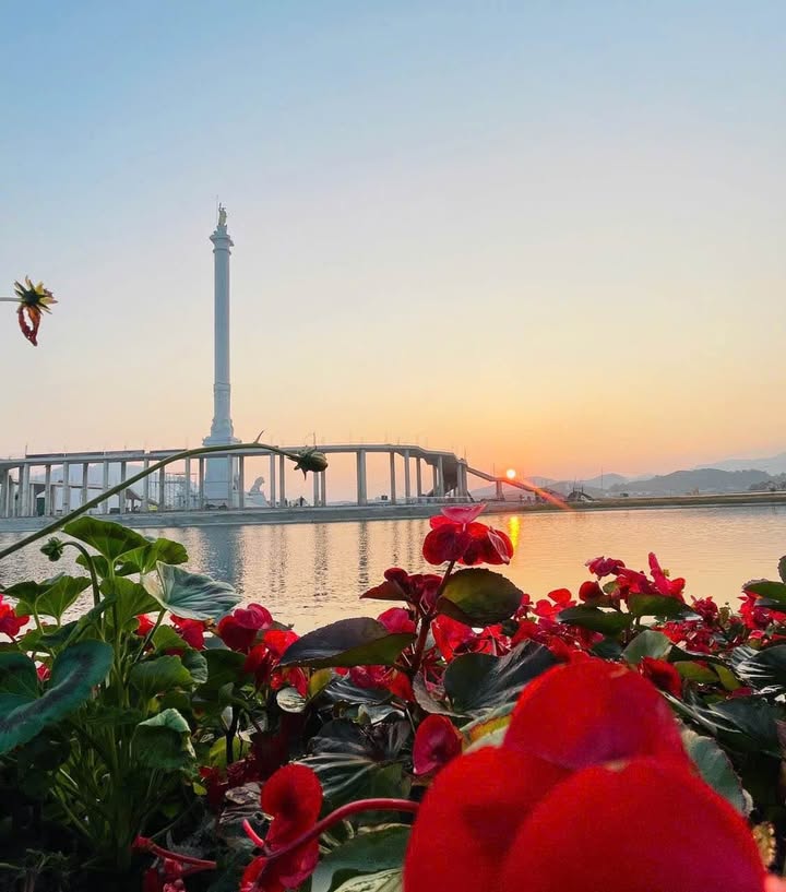 Đất nền Danko Phường Đồng Tâm 120m² - Căn góc view thoáng, giá thỏa thuận hấp dẫn!