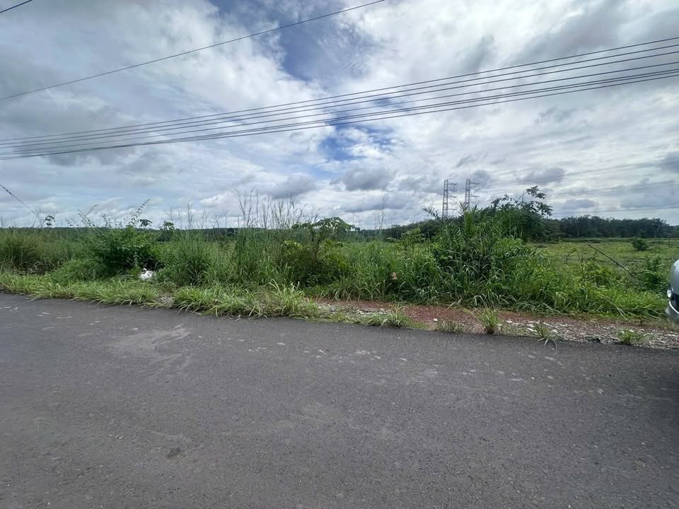 Đất SKC 118.000m² tại Bàu Bàng, Bình Dương - Đầu tư sinh lời hấp dẫn!