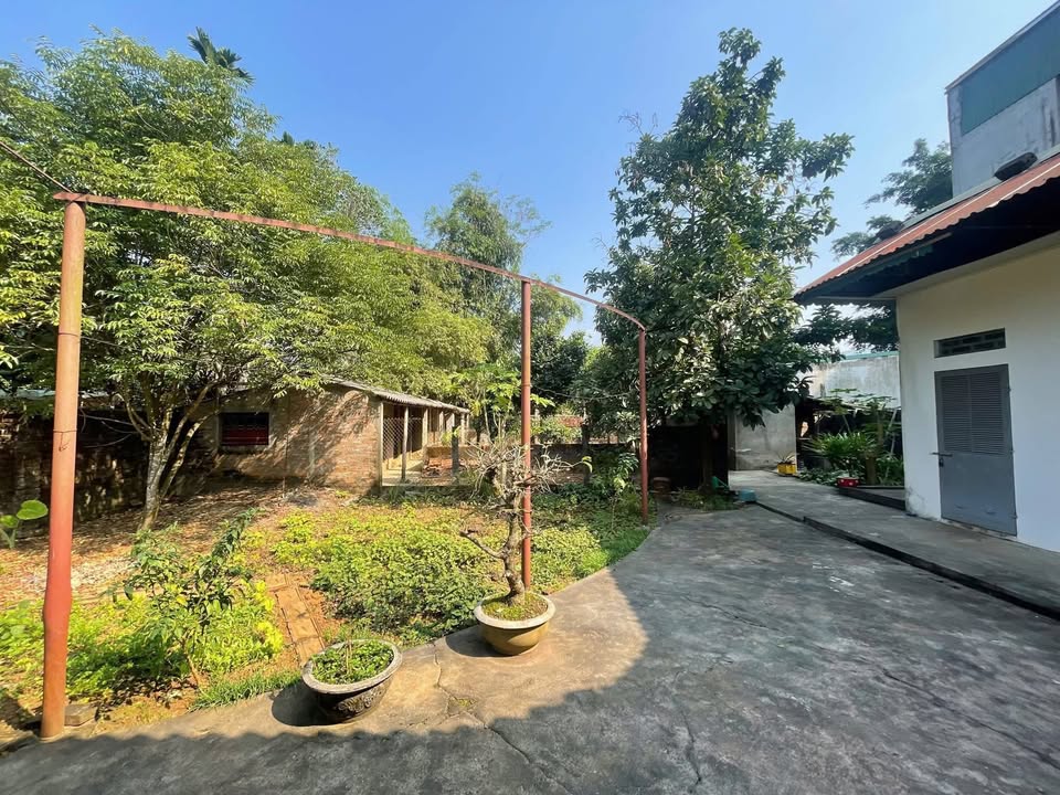 Đất thổ cư Dân Chủ Hòa Bình 500m² giá thỏa thuận - Mặt tiền 15m