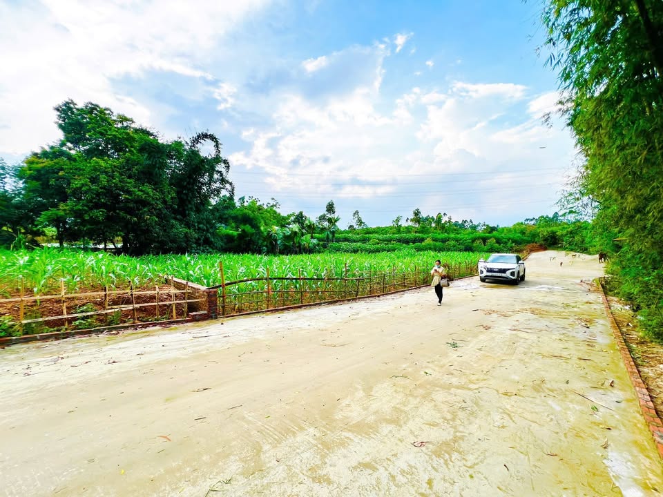 Đất nền Khu 7 Vạn Xuân, Tam Nông, Phú Thọ 437m² giá 9xx triệu - Cơ hội đầu tư hấp dẫn!