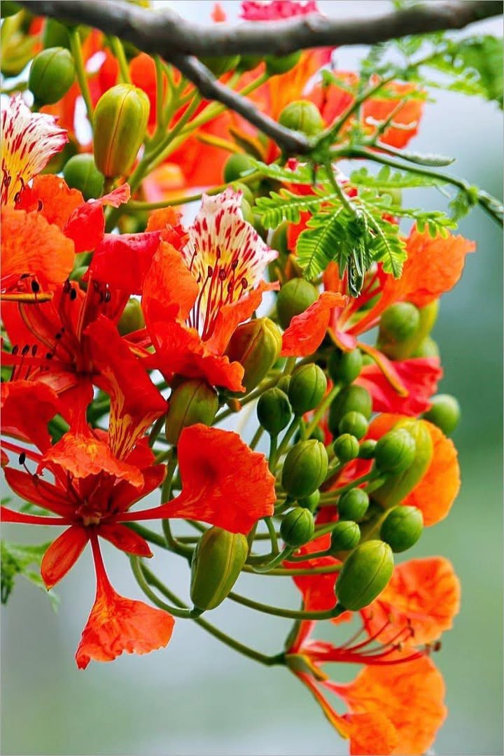 Đất nền 100m² mặt tiền đường 20m tại Phường Quy Nhơn, giá 5,2 tỷ - Phù hợp xây nhà ở và kinh doanh!