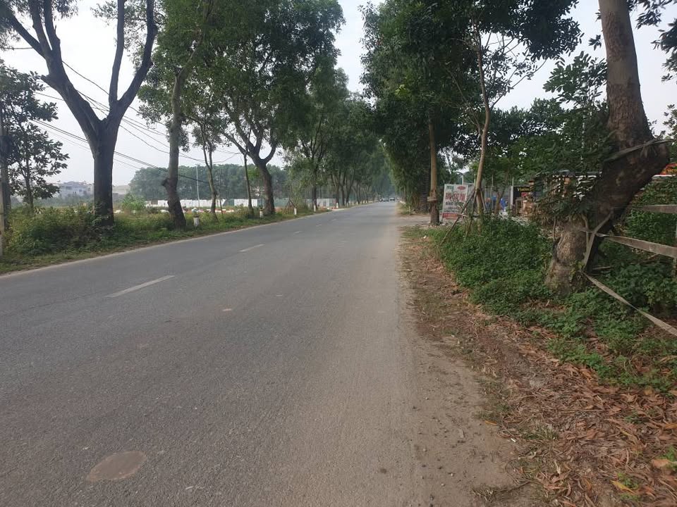 Đất thổ cư Yên Ninh, Nội Bài 74m² giá 2.8 tỷ - Sổ đỏ chính chủ, thương lượng ngay!