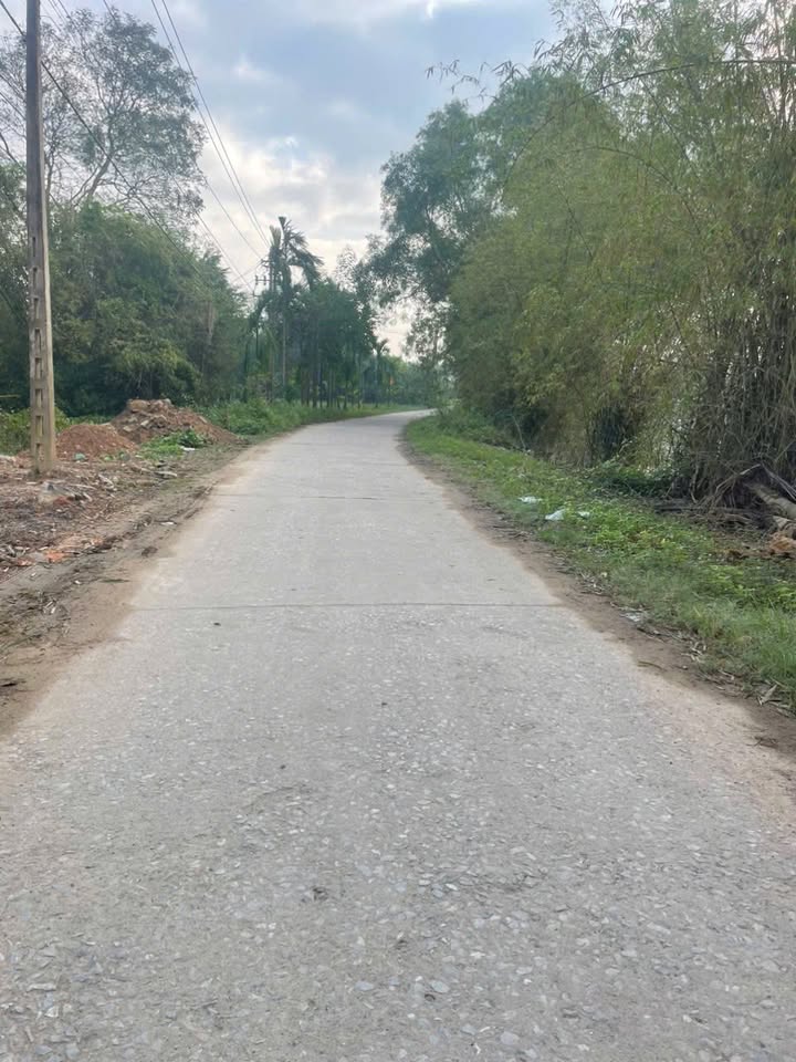 Đất nền kiệt Trần Hoàn, 96m² chỉ 300 triệu - Cơ hội đầu tư hấp dẫn!