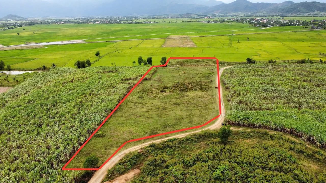 Đất Nền Xã Ninh Thượng, Thị Xã Ninh Hòa, 7500m² - Phân Lô Tiềm Năng