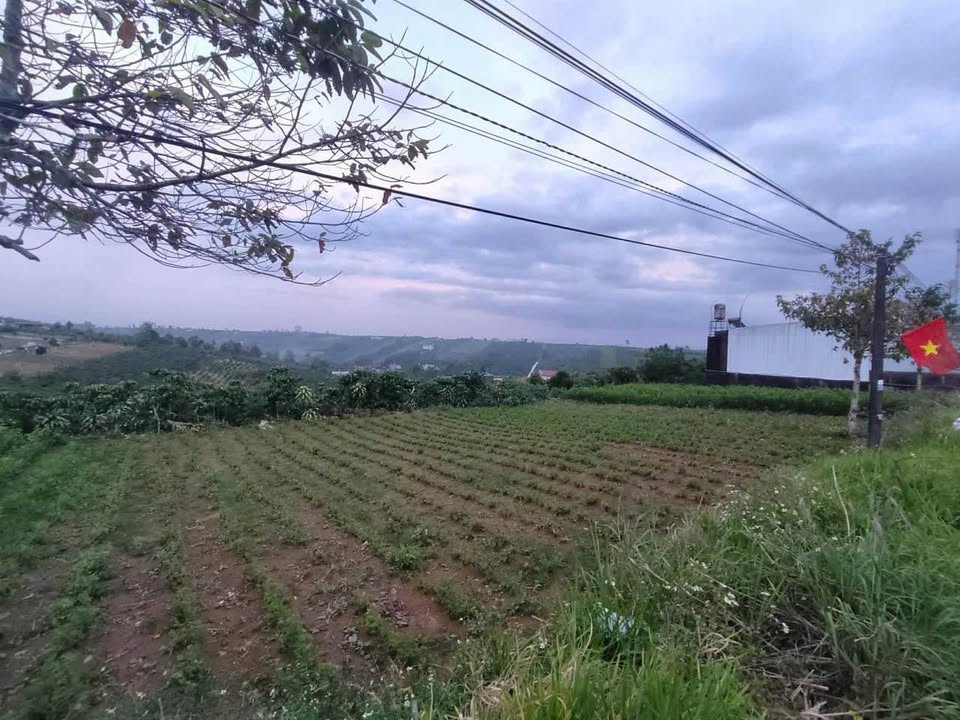 Đất mặt tiền Tản Đà, Bảo Lộc 33924m² - Sổ hồng chính chủ, giá tốt!