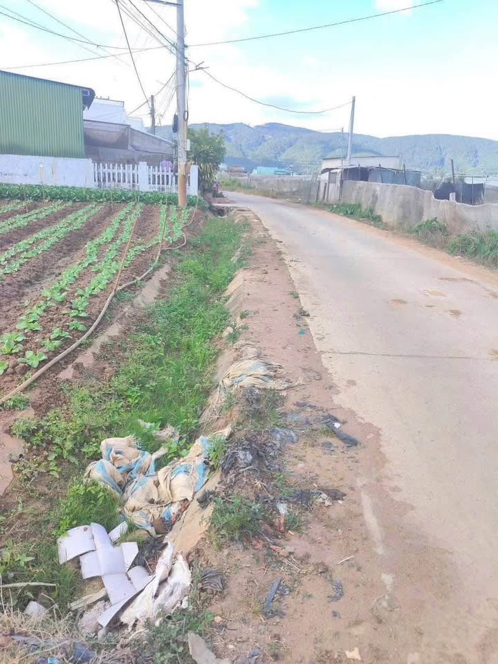 Đất mặt đường bê tông Nghĩa Hội, Thạnh Mỹ 1008m² giá 3 tỷ - Đầu tư sinh lời ngay!