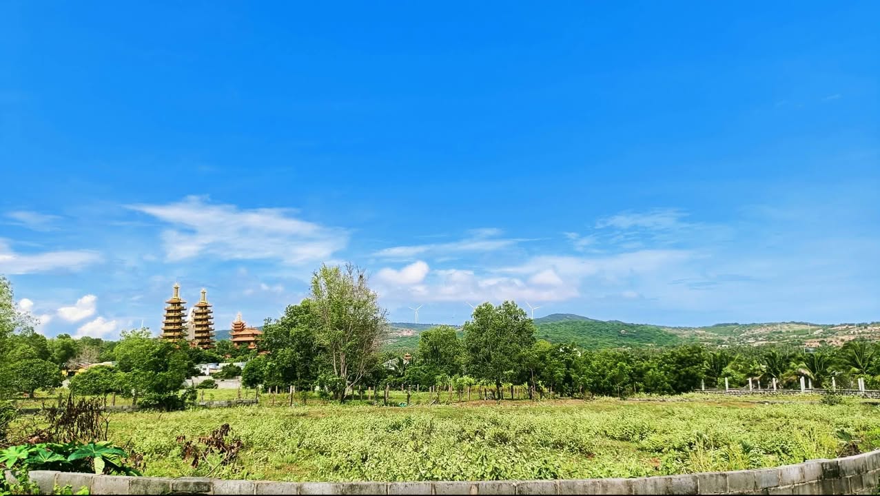 Đất thổ cư 1665m² tại Thiện Nghiệp, Phan Thiết - Pháp lý rõ ràng, đầu tư sinh lời!