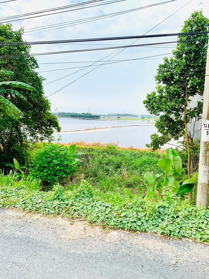 Đất Lúa Vĩnh Tế 7614m² giá 520 triệu/công - Cơ hội đầu tư sinh lời!