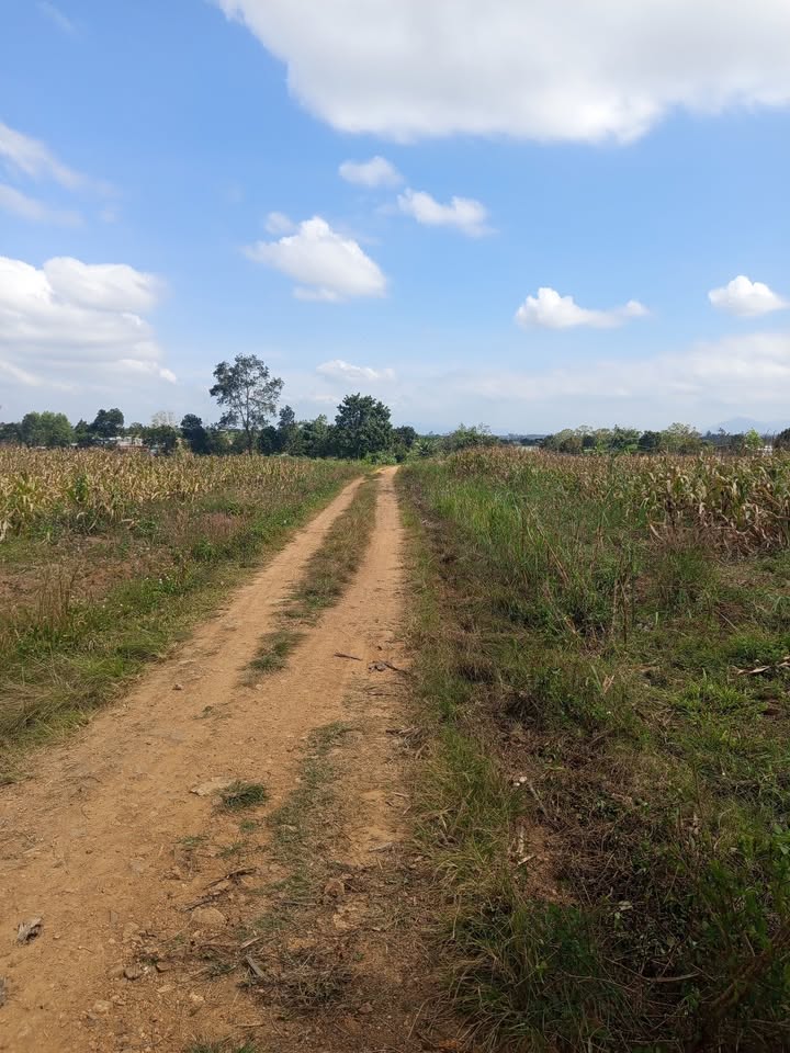 Đất nền Phước An, Thị trấn Ea Kar 2814m² giá 7.087 tỷ - Sổ hồng chính chủ, mặt tiền đường rộng!