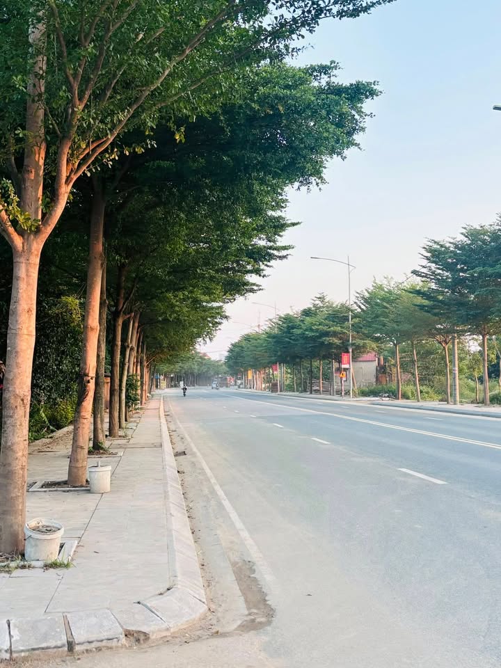 Đất dịch vụ Đồng Ông, Hoài Đức 65,2m² - Vị trí đẹp, ô tô vào tận nơi!