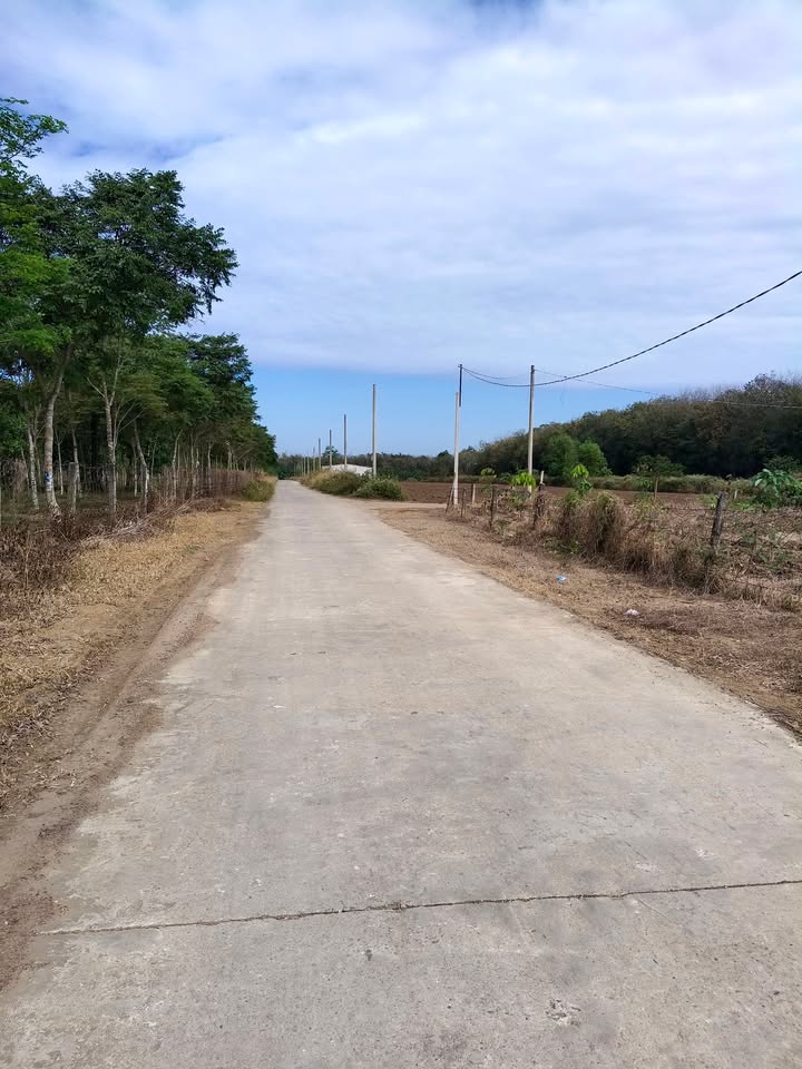 Đất nền Becamex, Phường Minh Thành 275m² giá 280 triệu - Đầu tư hấp dẫn cuối năm!