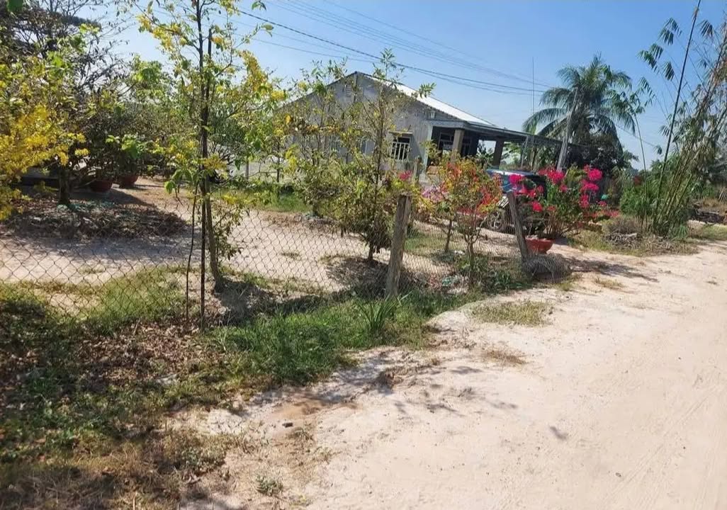 Đất thổ cư 10.000m² phường Long Hoa, TP Tây Ninh - Giá chỉ 600 triệu!