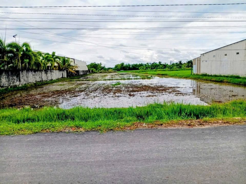 Đất nền 5346m² tại Hậu Nghĩa, Đức Hòa, Long An giá 15.5 tỷ - Cơ hội đầu tư hấp dẫn!