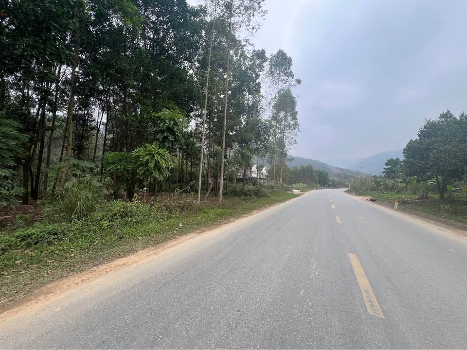 Đất nền 2.500m² Quốc lộ Thái Bình - Mặt tiền 60m, thổ cư 200m² thuận lợi kinh doanh